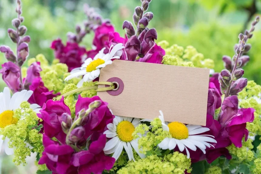 faire-part de naissance chic