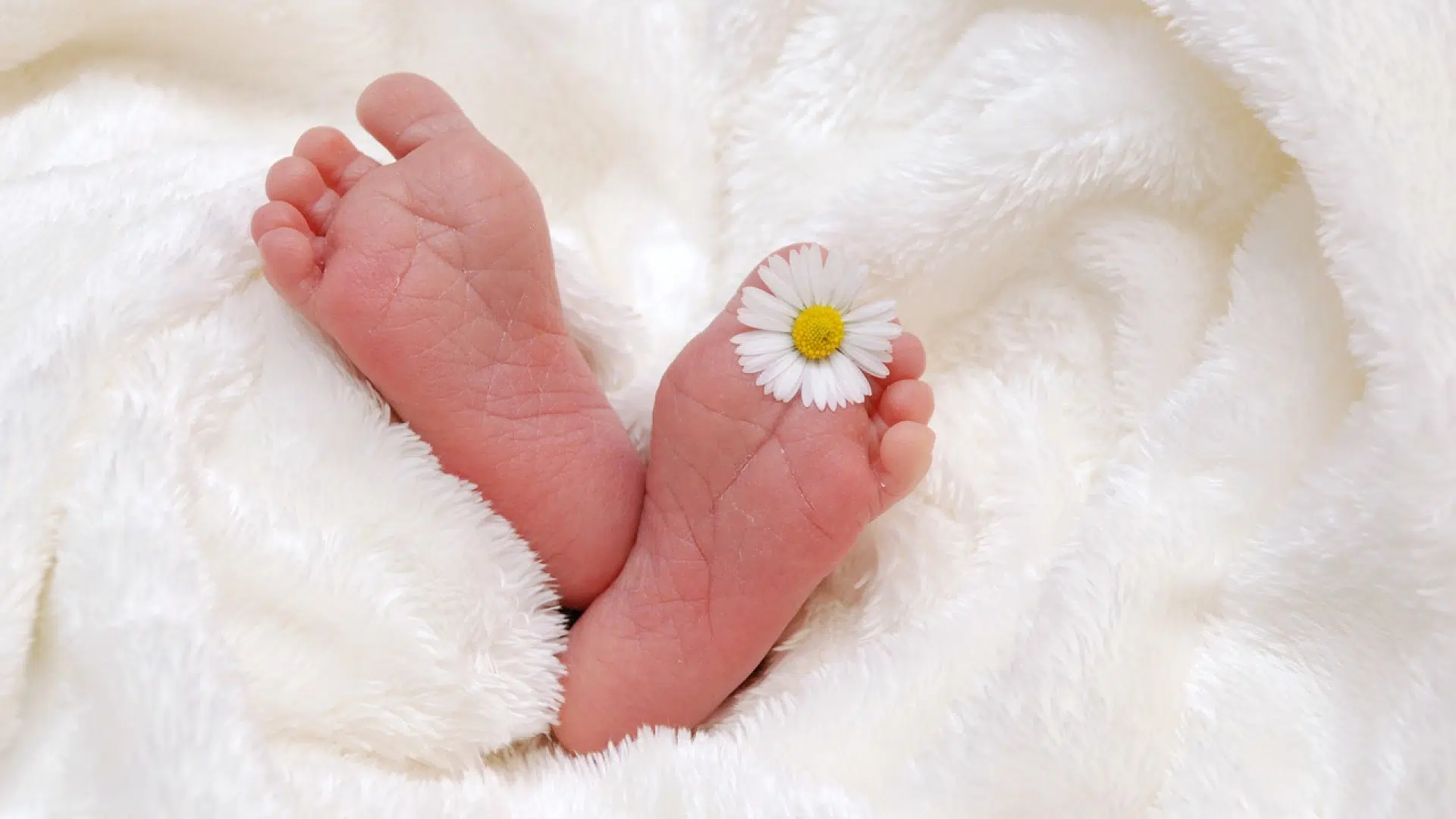 Quels sont les avantages d’utiliser un coussin ergonomique pour bébé ?