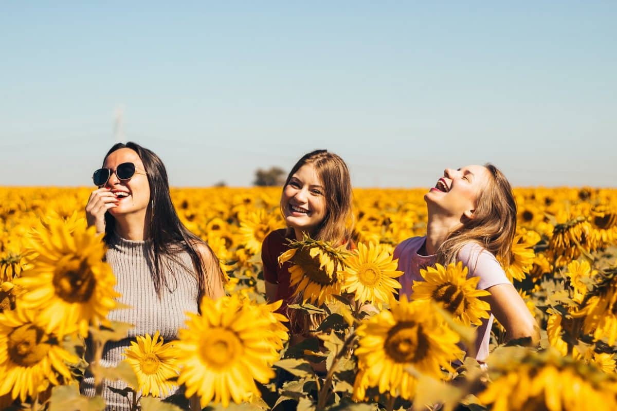 3 femmes heureuses dans un champ de tournesol